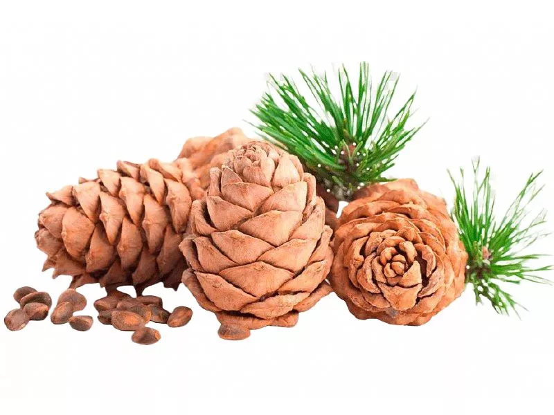 Галактоарабинан