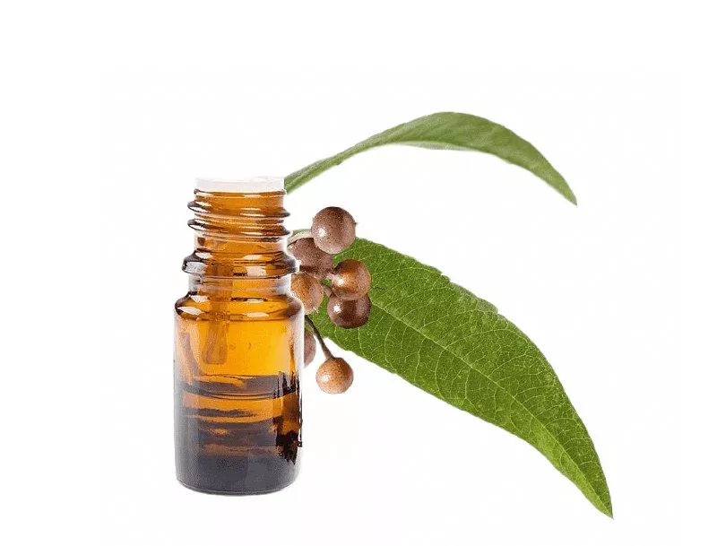 Масло эвкалипта