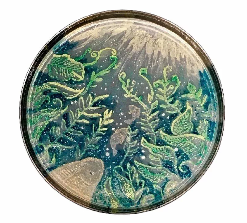 Ферментный экстракт морских протеобактерий Alteromonas (AFE)