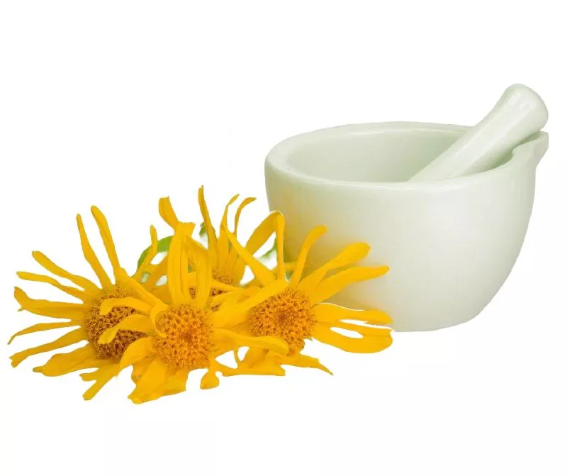 Экстракт арники