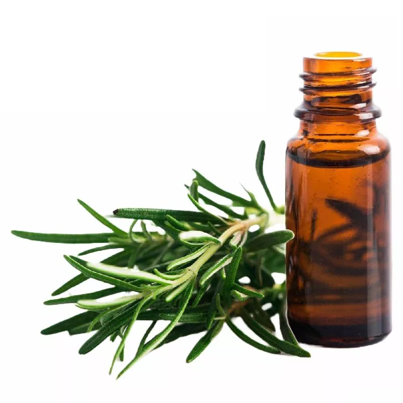 Эфирное масло розмарина