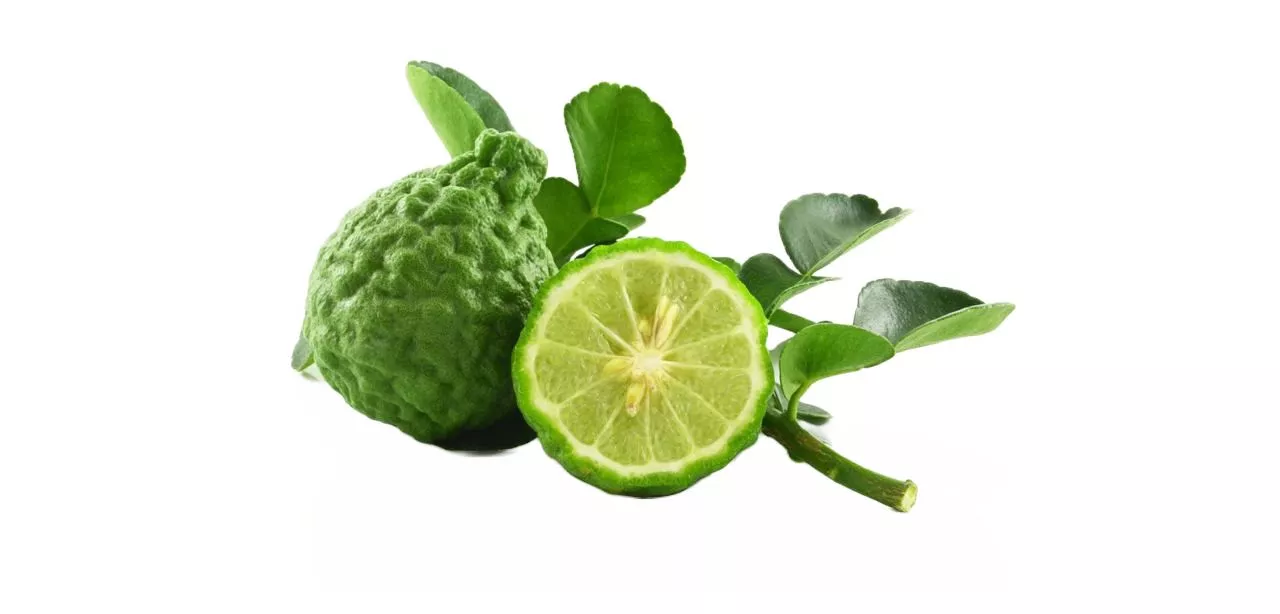 Эфирное масло бергамота