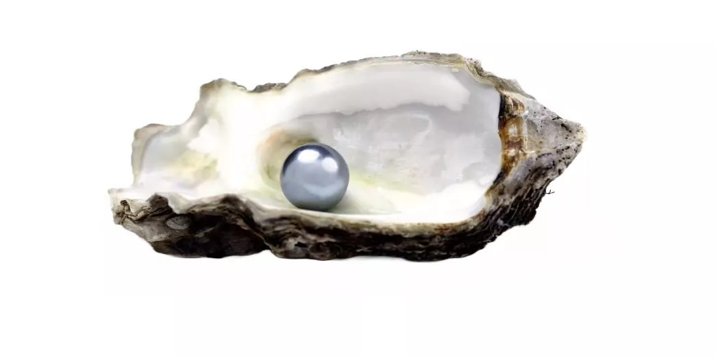 Порошок черного жемчуга с Таити