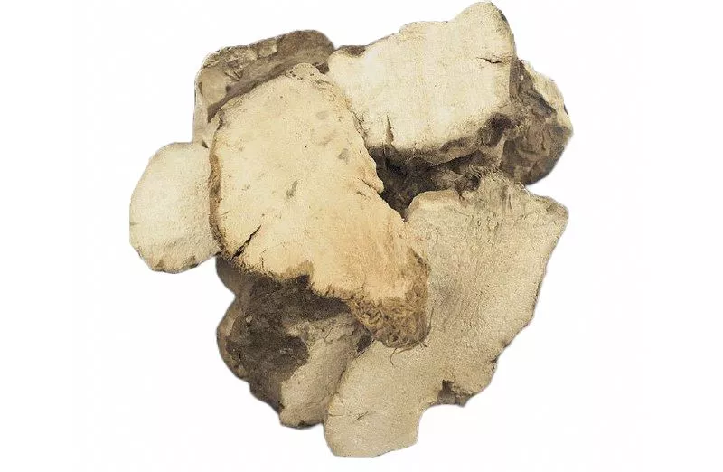 Экстракт корня пории кокосовидной