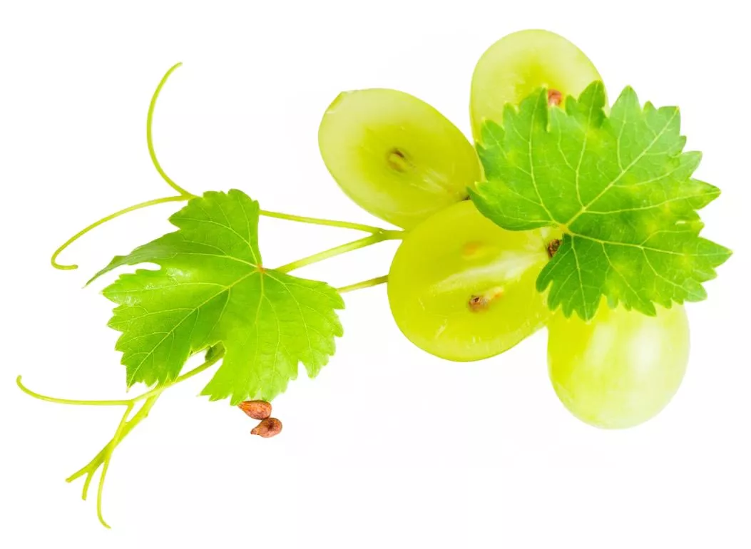 Масло виноградных косточек 