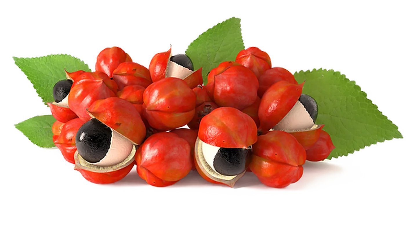 Микрочастицы семян гуараны