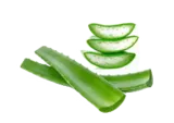 Экстракт алоэ вера