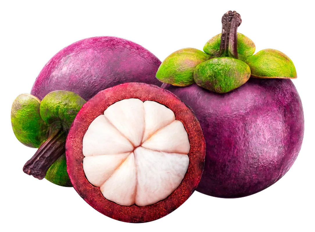 Экстракт мангостина