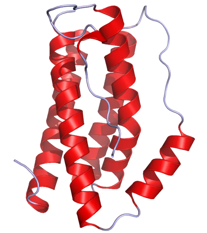 Antileukine 6 (Интерлейкин 6)