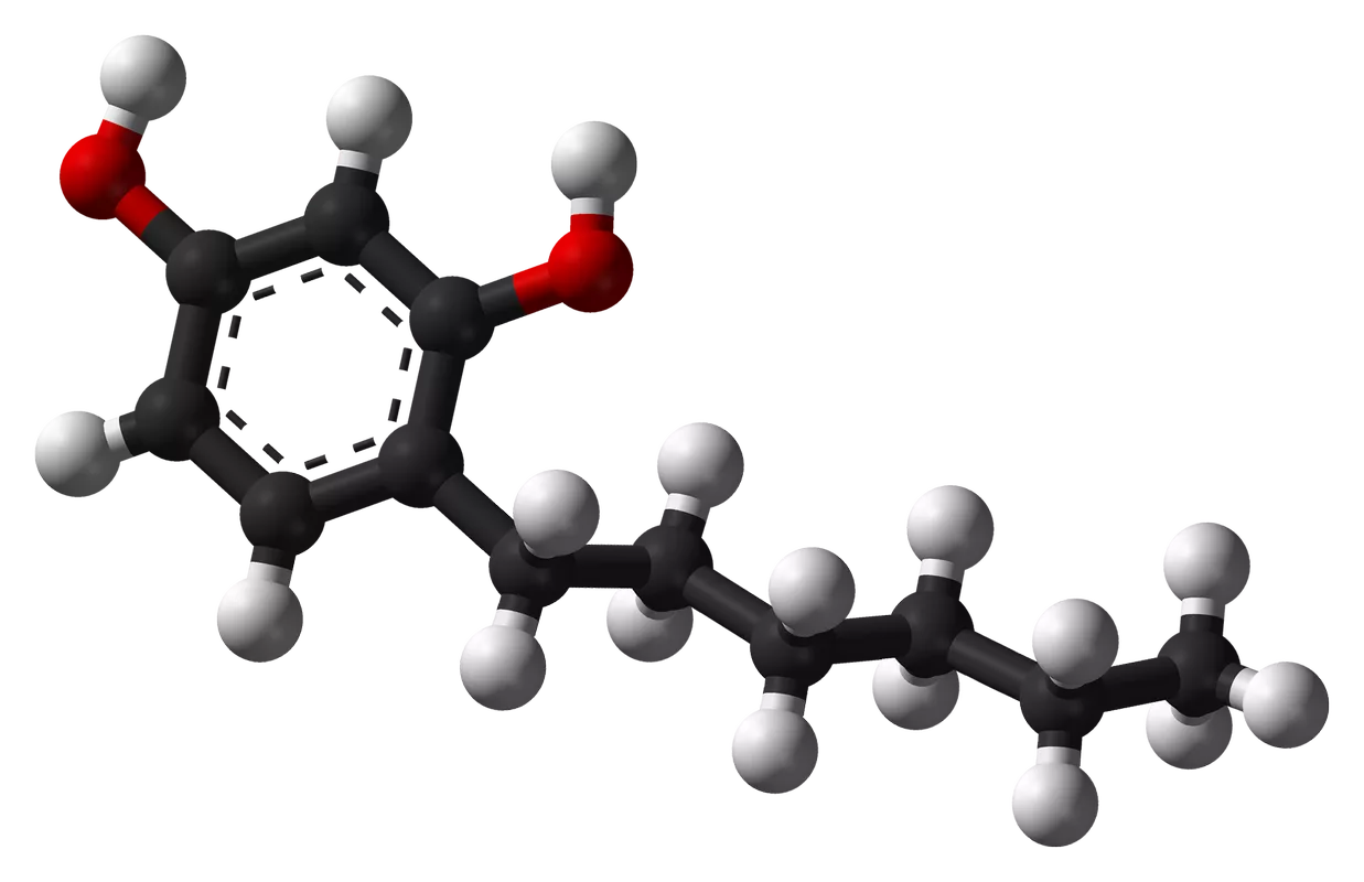 Гексилрезорцинол