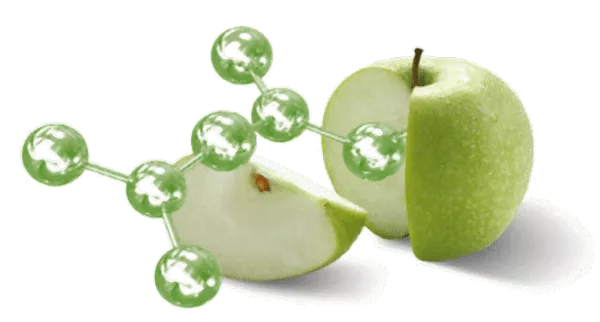 Экстракт стволовых клеток яблока