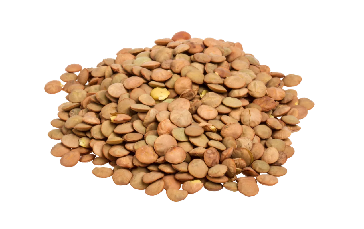 Экстракт семян чечевицы