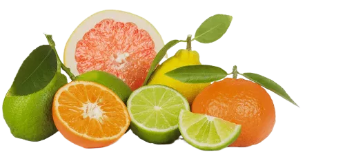 Цитрусовый биофлавоноид