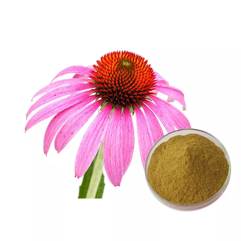 Экстракт эхинацеи пурпурной (Echinacea purpurea)