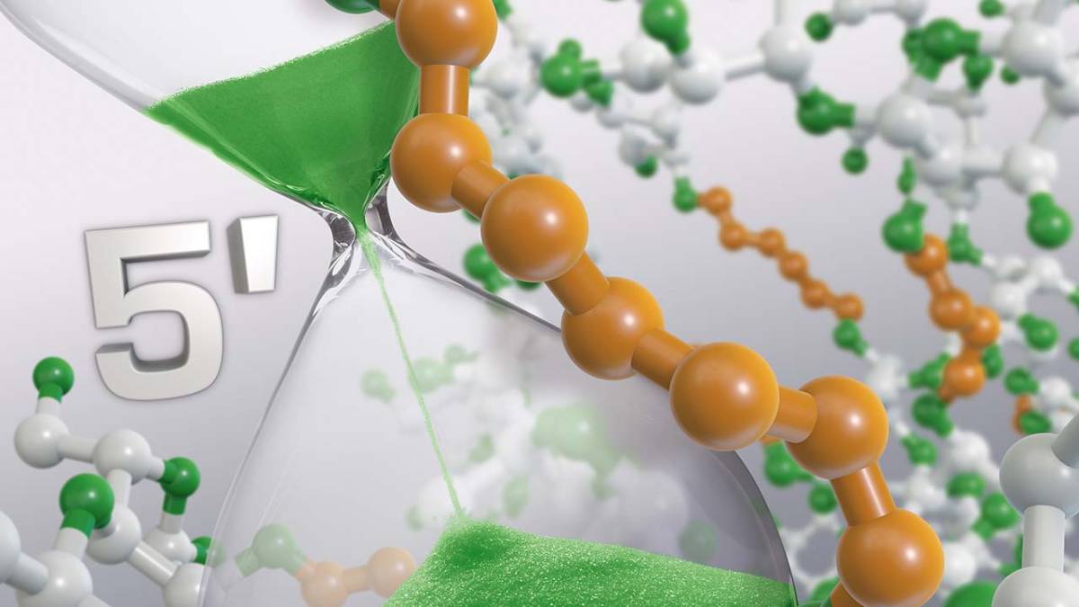 Экстракт InTensor